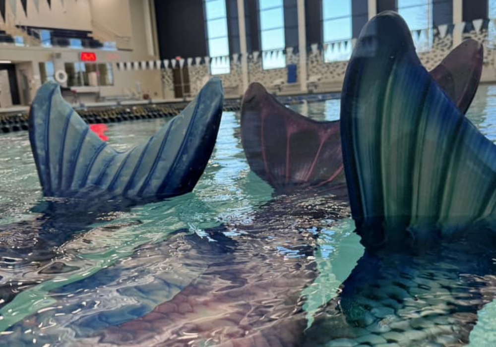 469221681_122183649302247130_2047636499631547110_n